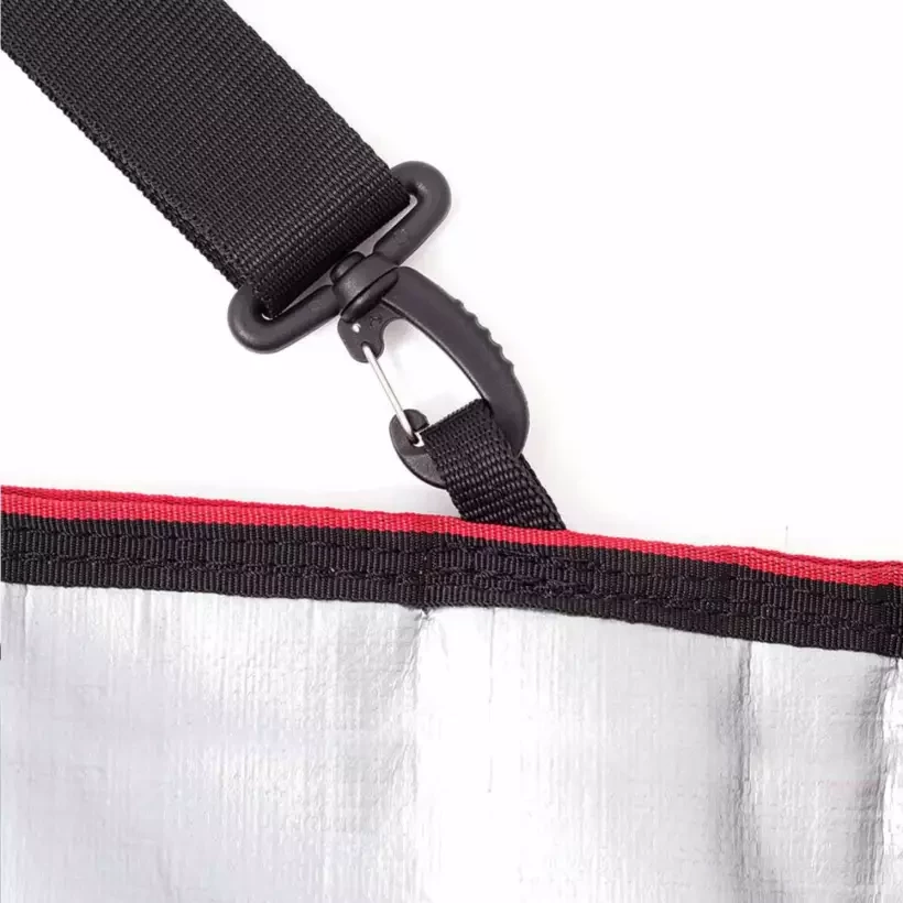 Ocean & Earth Barry Basic Fish cover