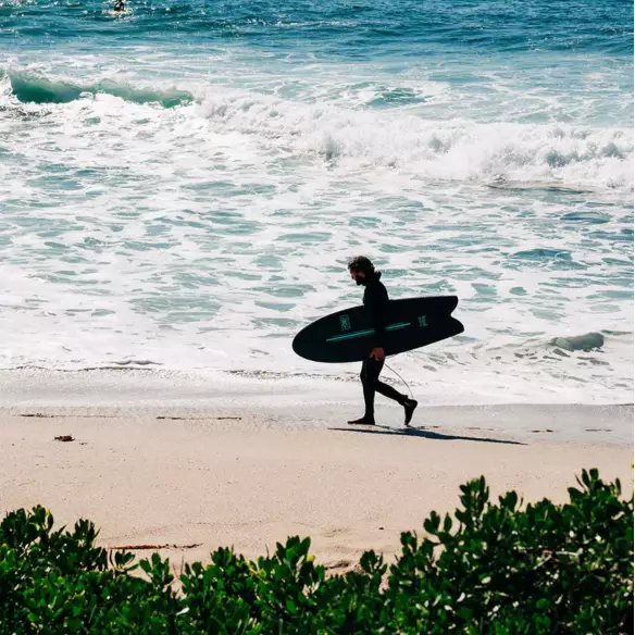 Surfboard softboard Ocean & Earth EZI-Rider Flying Fish EZI-Rider 5'8" Quad