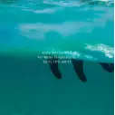Wax Ocean & Earth Max Wax