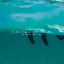 Parafina Ocean & Earth Max Wax