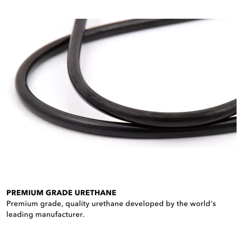 Leash Di Ocean & Earth Sunset