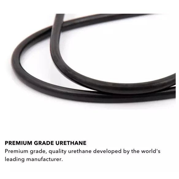 Leash Di Ocean & Earth Sunset