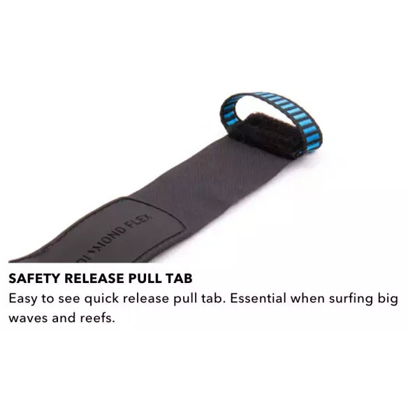 Ocean & Earth Regular Leash