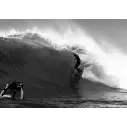 Planche de surf Slater Designs Great White