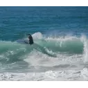 Surfboard Slater Designs Sci-Fi 2.0