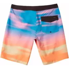 Bañador quicksilver Surfsilk Panel Dark Navy 2