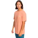 Tee Shirt quiksilver Tradesmith canyon clay