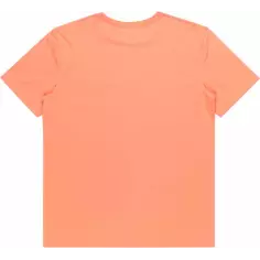 T-shirt Quiksilver Tradesmith canyon clay 2