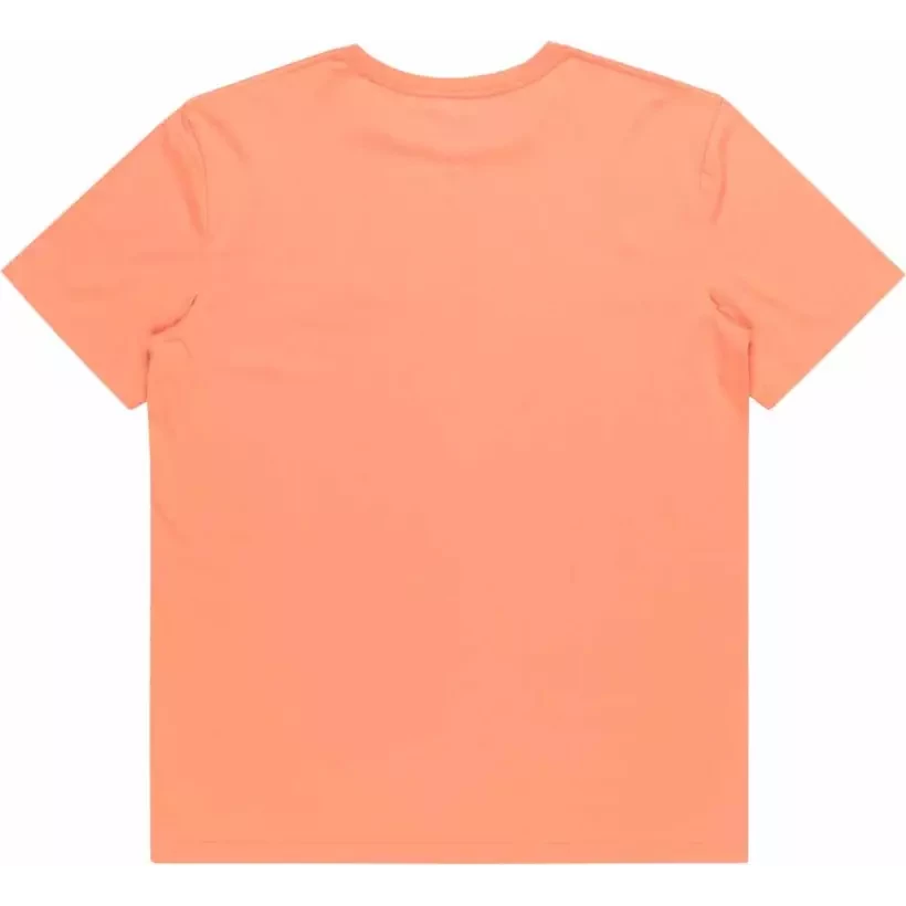 T-Shirt quiksilver Tradesmith canyon clay