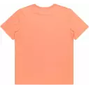 Camiseta quiksilver Tradesmith canyon clay