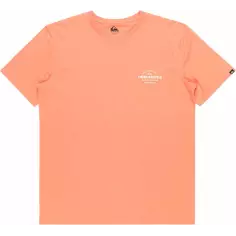 T-shirt Quiksilver Tradesmith canyon clay