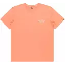 Camiseta quiksilver Tradesmith canyon clay