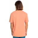 Camiseta quiksilver Tradesmith canyon clay