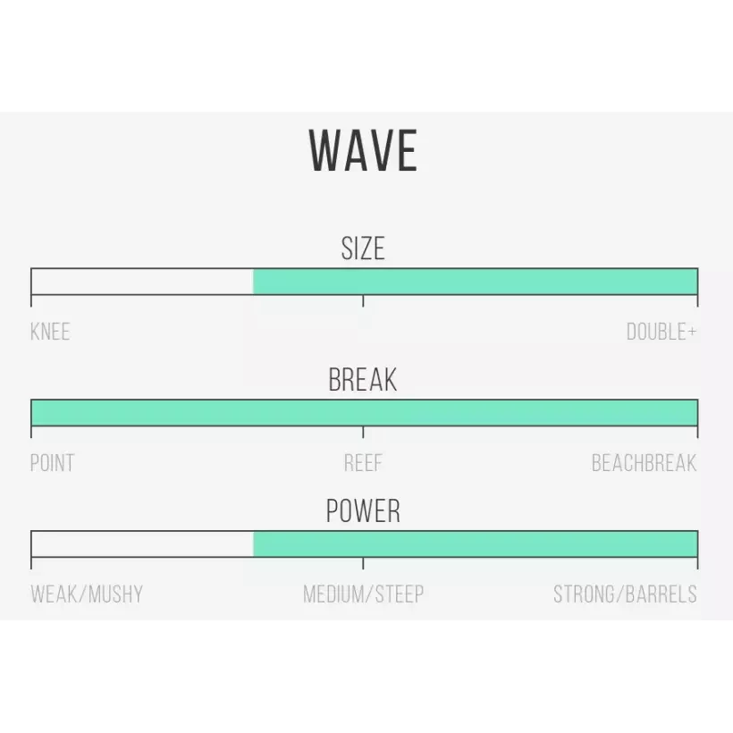 Tabla de surf Channel Island Black and White