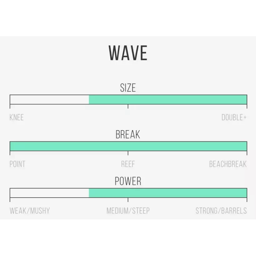 Surfplank Channel Island Zwart en Wit