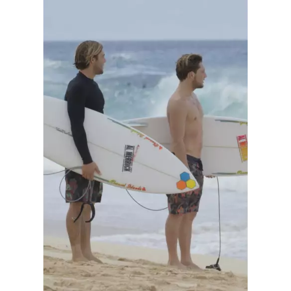 Planche de surf Channel Island Fishbeard Planche de surf Channel Island Fishbeard