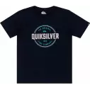 Camiseta quiksilver Take Us Back mellow yellow