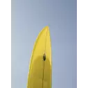 Tavola Da Surf Pukas Magnetic Flying