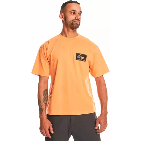 Tee Shirt quiksilver back flash violet