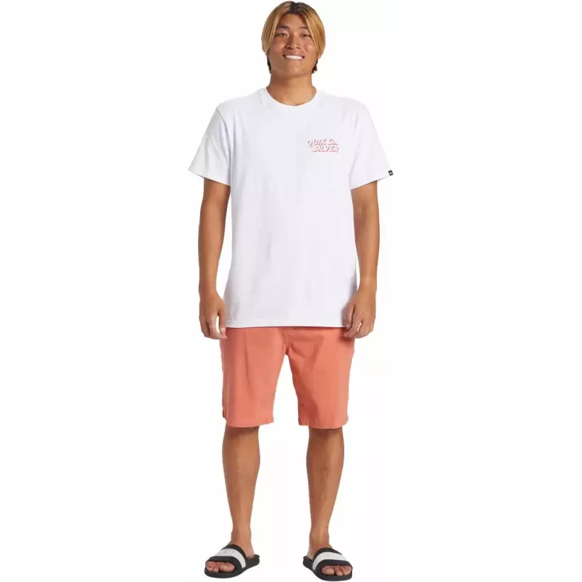 Quiksilver Everyday Union Light Canyon Clay Curta