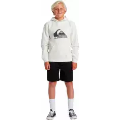 Sudadera Quiksilver big logo Beige Junior 2