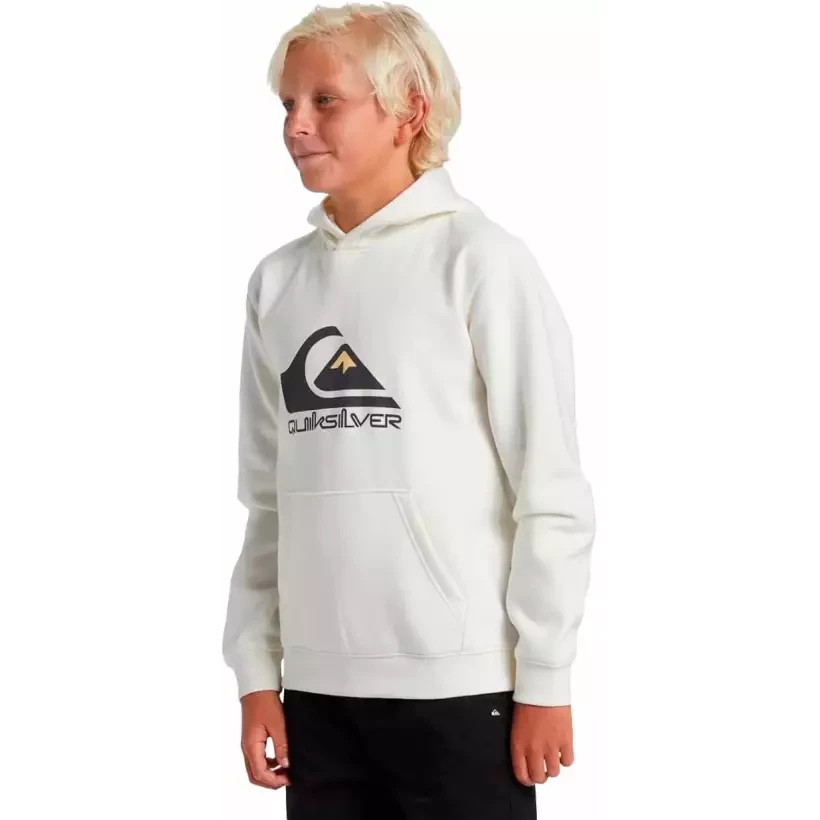 Sudadera Quiksilver big logo Beige