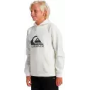 Felpa Quiksilver big logo Beige