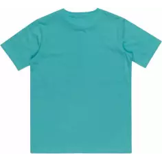 Camiseta quiksilver Day Tripper white Junior 2