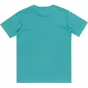 Camiseta Quiksilver Day Tripper white Junior