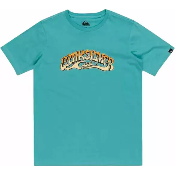 T-shirt Quiksilver Day Tripper white Junior