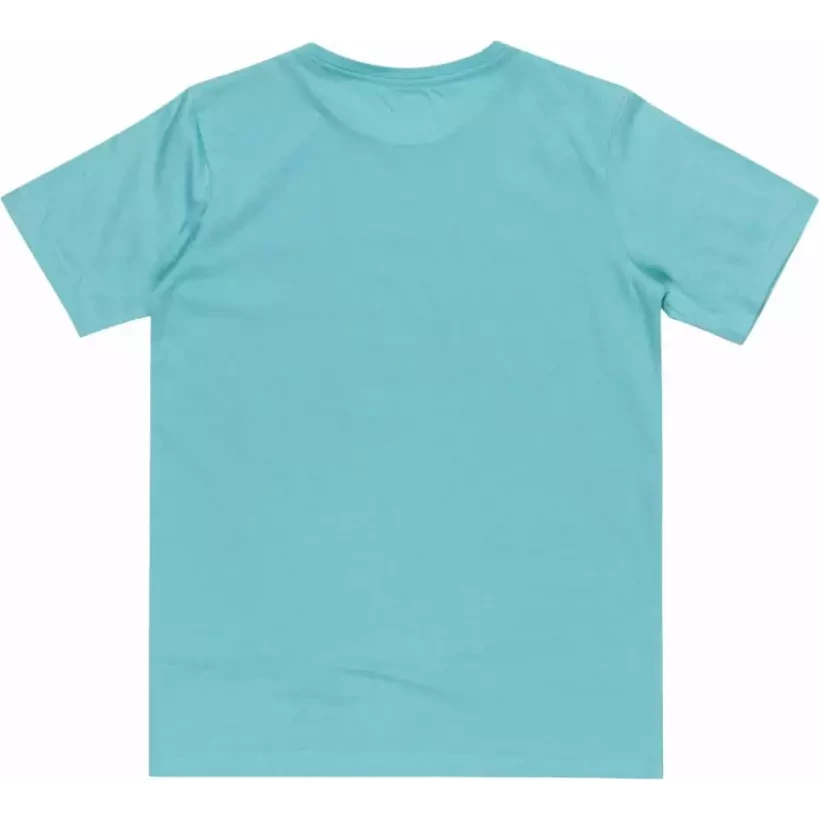 T-shirt Quiksilver Day Tripper white Junior