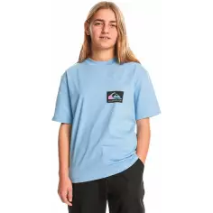 Camiseta quiksilver Back Flash Hydrangea Junior
