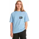Maglietta Quiksilver Back Flash Hydrangea Junior