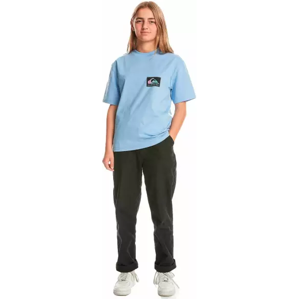 Quiksilver Back Flash Hydrangea Junior T-Shirt