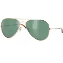 Lunettes de soleil Carve Skywalker