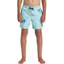 Maillot de Bain quicksilver Surfsilk Tijuana Dark Navy
