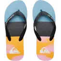 Chanclas Quiksilver Molokai Art Blue 1