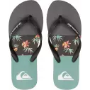 Flip Flops Quiksilver Molokai Art Blue 1