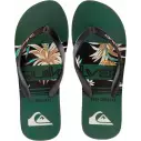 Chanclas Quiksilver Molokai Art Blue 1