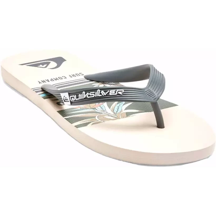 flip-flops Quiksilver Molokai Art Blue 1