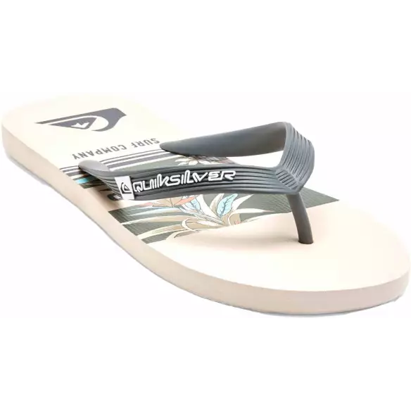 Chanclas Quiksilver Molokai Art Blue 1