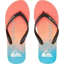 Chanclas Quiksilver Molokai Art Blue 1