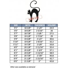 Surfplank MS Stomme Ezel 2