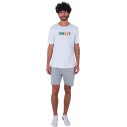 Hurley H20 Dri Vapor Chino 19'' Ion Grey shorts