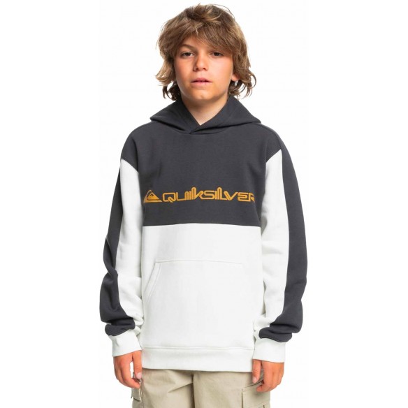 Sudadera Quiksilver knowledge area youth Snow White