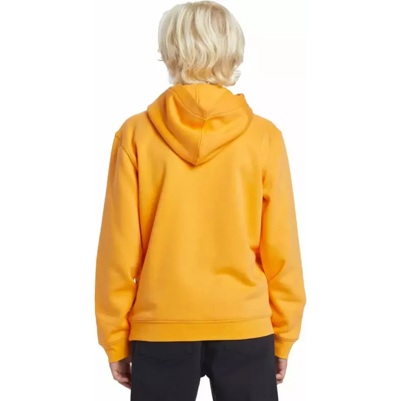Sweatshirt Quiksilver Graphic Youth Hoodie Orange