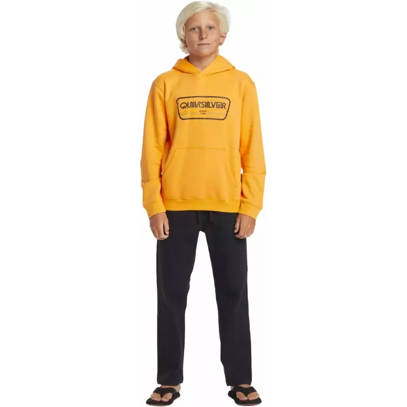Sudadera Quiksilver Graphic Youth Hoodie Orange