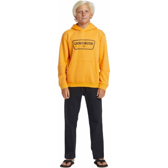 Sudadera Quiksilver Graphic Youth Hoodie Orange