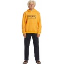Sweatshirt Quiksilver Graphic Youth Hoodie Orange