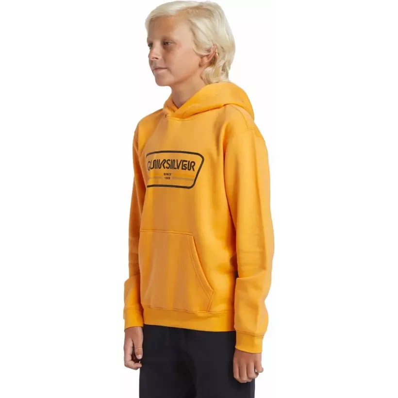 Suéter Quiksilver Graphic Youth Hoodie Orange